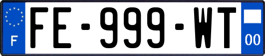 FE-999-WT