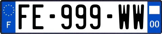 FE-999-WW