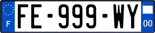 FE-999-WY