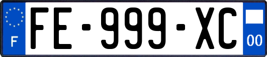 FE-999-XC