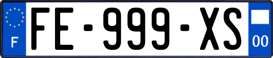 FE-999-XS