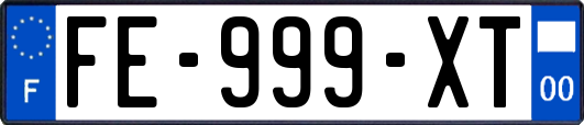 FE-999-XT