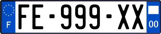 FE-999-XX