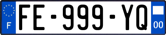 FE-999-YQ