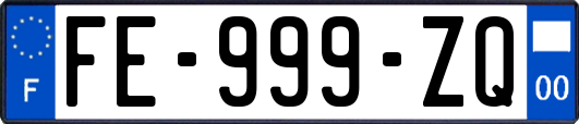 FE-999-ZQ