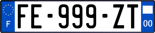 FE-999-ZT