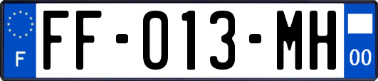 FF-013-MH