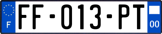 FF-013-PT