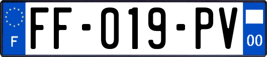 FF-019-PV