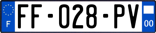 FF-028-PV