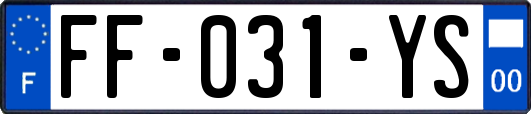 FF-031-YS