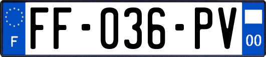 FF-036-PV