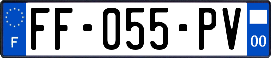 FF-055-PV