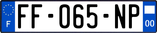 FF-065-NP