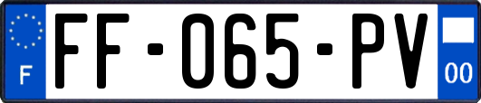 FF-065-PV