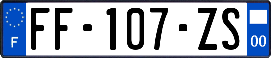 FF-107-ZS