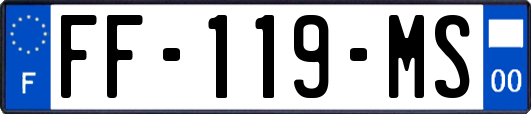 FF-119-MS