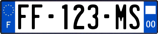 FF-123-MS