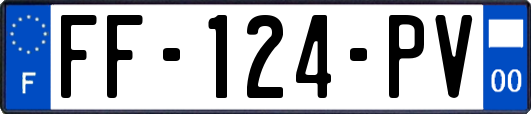 FF-124-PV