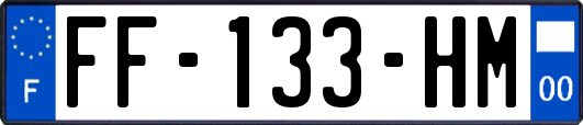 FF-133-HM