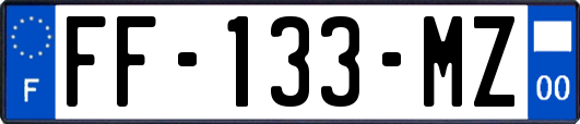 FF-133-MZ