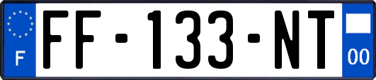 FF-133-NT