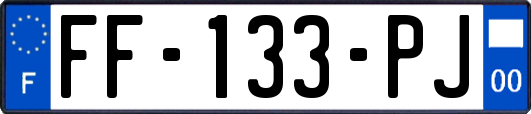 FF-133-PJ