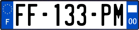 FF-133-PM