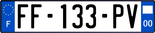 FF-133-PV