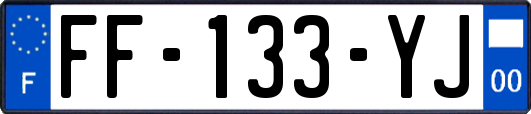 FF-133-YJ