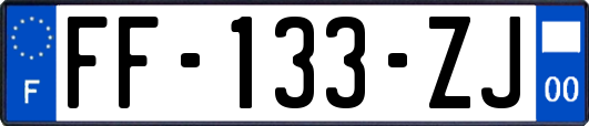 FF-133-ZJ