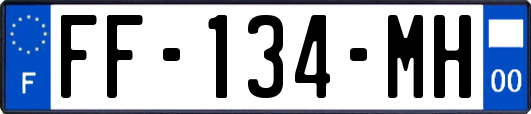 FF-134-MH