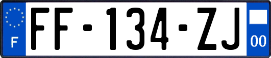 FF-134-ZJ