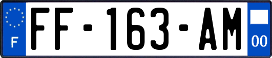 FF-163-AM