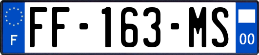 FF-163-MS