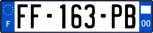 FF-163-PB