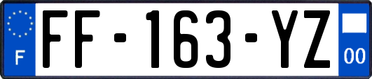 FF-163-YZ