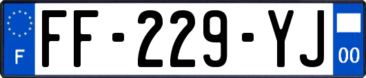 FF-229-YJ