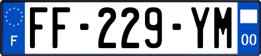 FF-229-YM