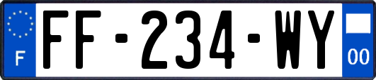 FF-234-WY