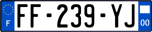 FF-239-YJ