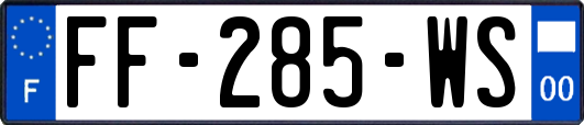 FF-285-WS