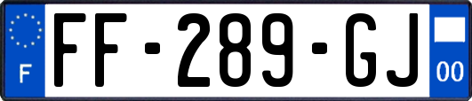 FF-289-GJ