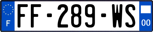 FF-289-WS