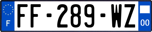 FF-289-WZ
