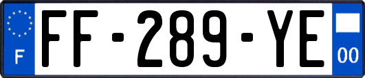 FF-289-YE
