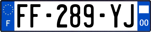 FF-289-YJ