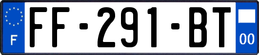 FF-291-BT