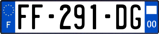 FF-291-DG