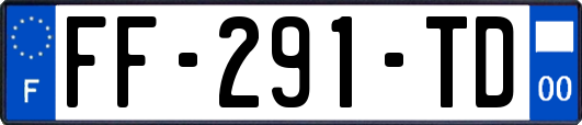 FF-291-TD